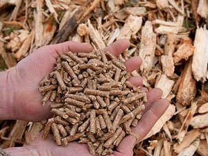 making wood pellets